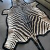 Schöne Zebrahaut mit dickem Filz.