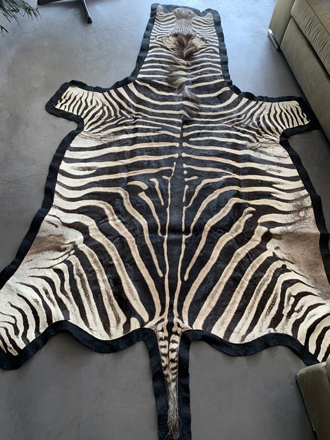 Beautiful zebra skin finished with thick felt.