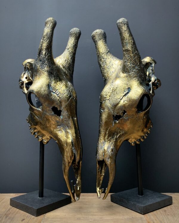 Set giraffe schedels verbronst.