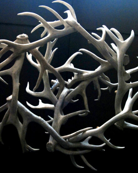 hg-111-chandelier-of-white-deer-antlers-341167-en-max