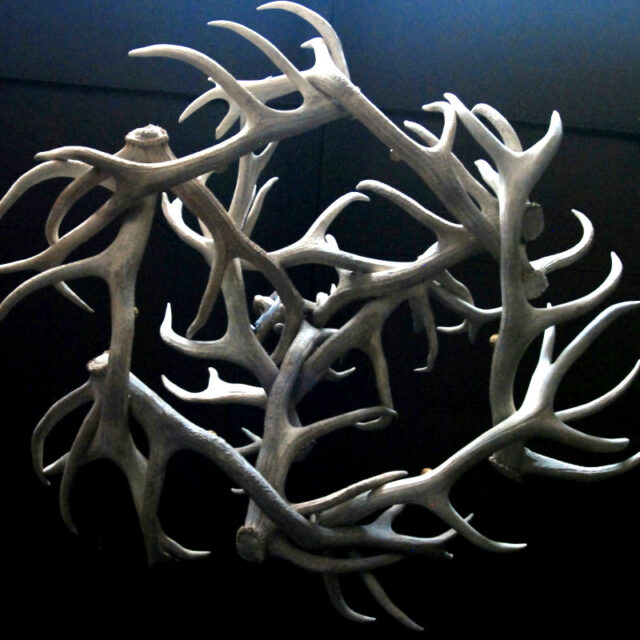 hg-111-chandelier-of-white-deer-antlers-341167-en-max