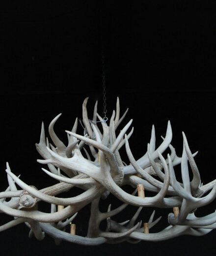 hg-111-chandelier-of-white-deer-antlers-341171-en-max