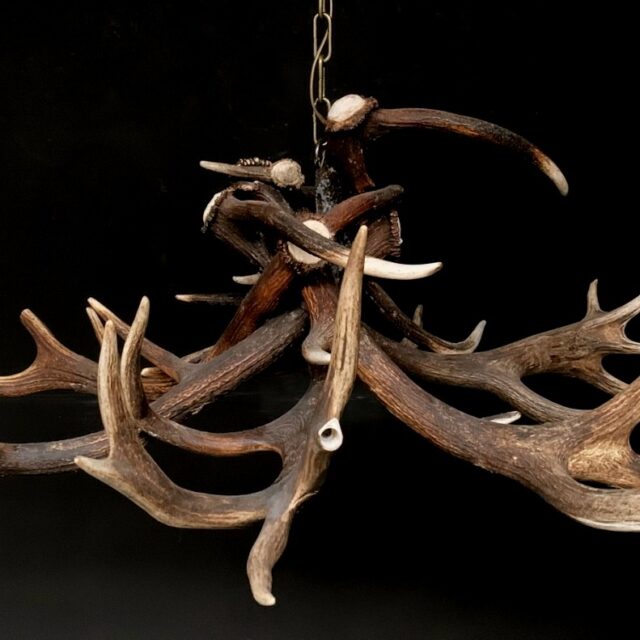 hg-240-chandelier-red-stag-antlers-1602531-en-max