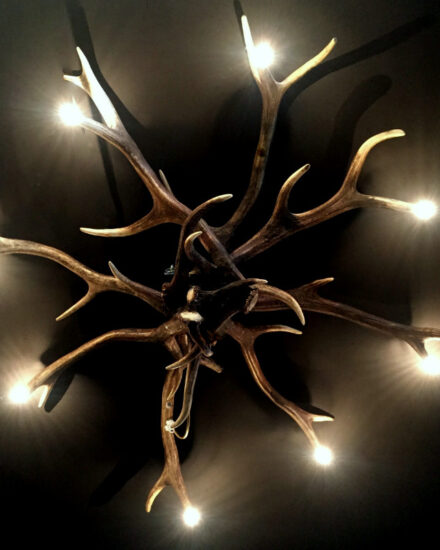 pg-101-b-ceiling-antler-lamp-with-led-light-582636-en-max