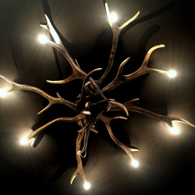 pg-101-b-ceiling-antler-lamp-with-led-light-582636-en-max