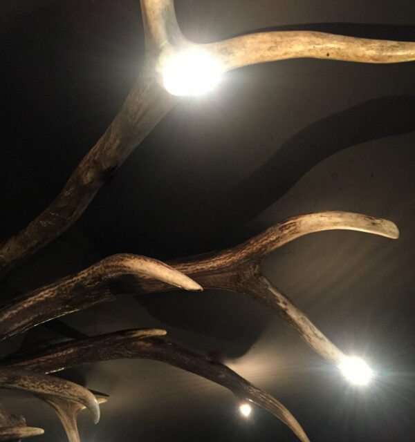 pg-101-b-ceiling-antler-lamp-with-led-light-582639-en-max