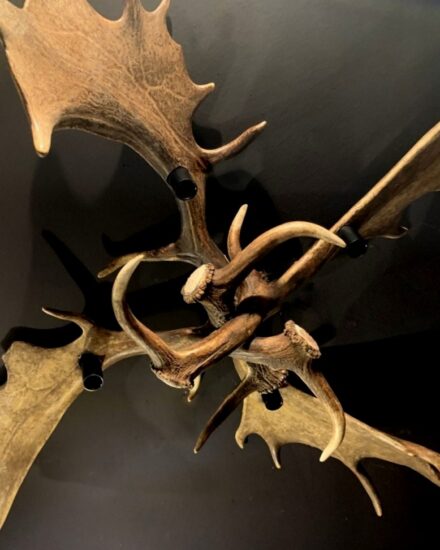 pg-105-fallow-deer-antler-ceiling-lamp-2430754-en-max