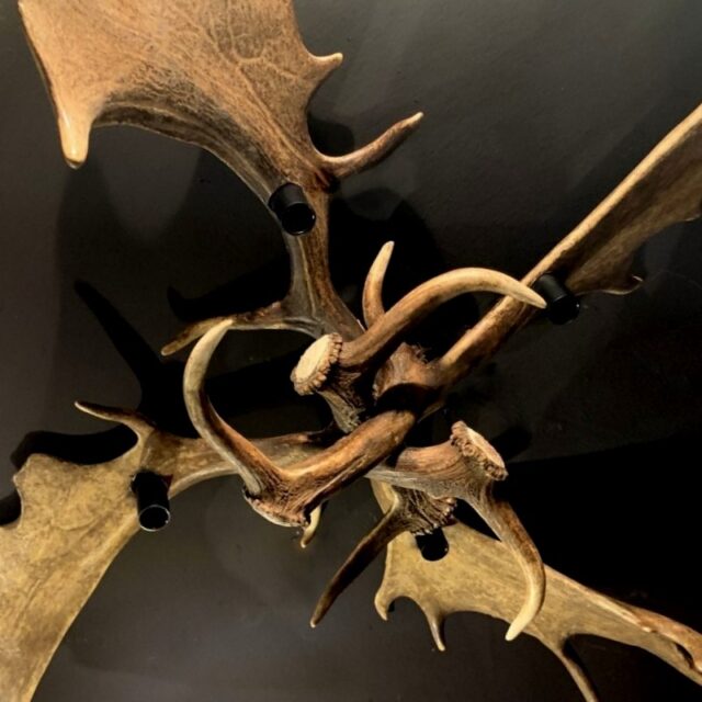 pg-105-fallow-deer-antler-ceiling-lamp-2430754-en-max