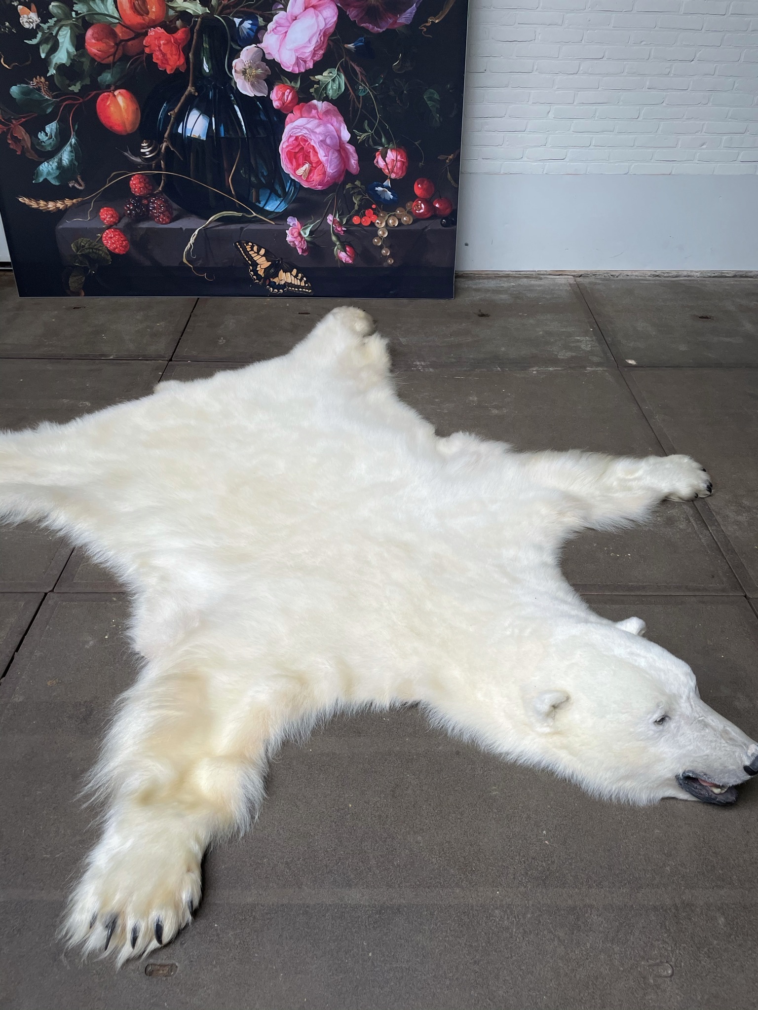 Dageraad Sceptisch Jet Prachtige wintervacht van een grote ijsbeer - BEAST Interiors
