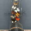 Antieke stolp gevuld met een mix van kleurrijke vlinders (herfsttinten). Vlinderstolp