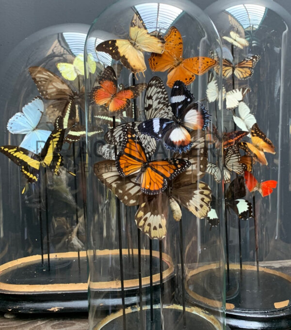 Antike Glocken, gefüllt mit einer Mischung aus bunten Schmetterlingen (Herbsttöne)