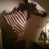 Zebra shouldermount op een hard houten sokkel
