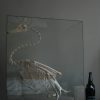 Enormous skeleton of a Swan.