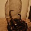 Antique bell wit 10 chamois horns. Very nice decoration.