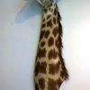 New stuffed head of a giraffe.
