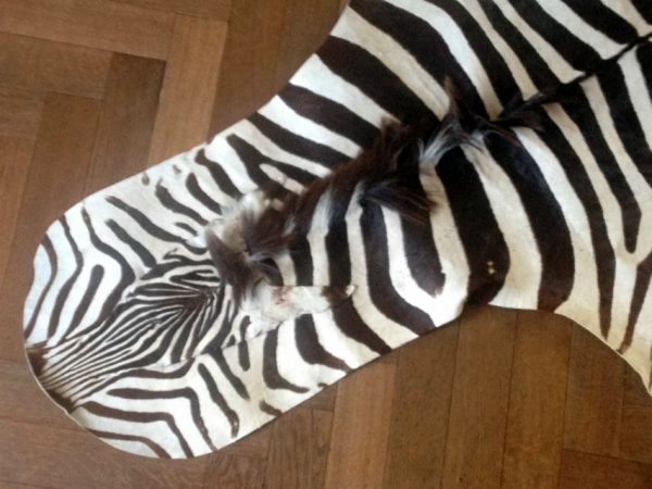 Gelooide huid van een zebra.