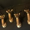 New stuffed heads of impalas