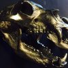 Zeer unieke bronzen afgietsels van echte berenschedels