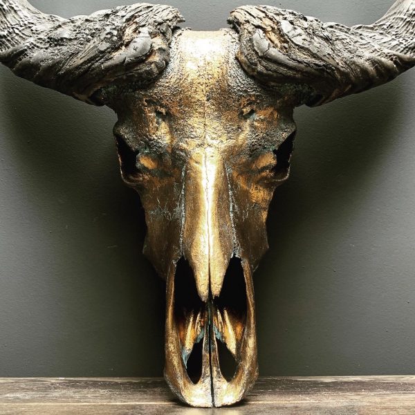 Besonders hochwertig metallisierter (Bronze-)Schädel eines Kapbüffels
