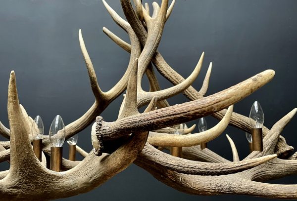 Round antler chandelier of red deer antlers