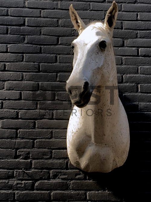 Recently mounted horse's head