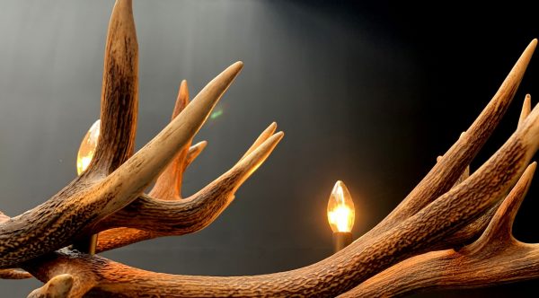 Oblong hanging lamp made of red deer antlers