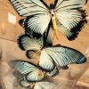Antieke stolp met vlinders (Papilio Zalmoxis)