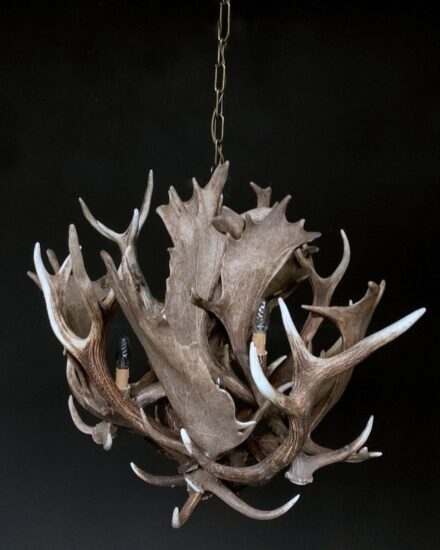 antler-lamp-fallow-deer-1838708-en-max-1