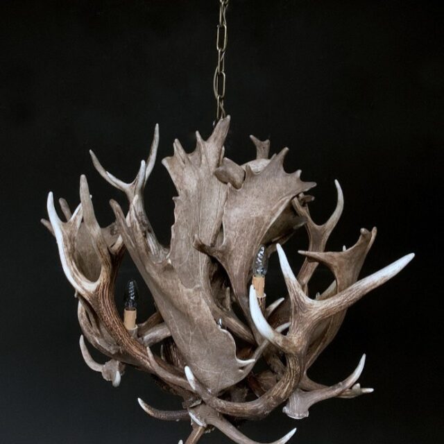 antler-lamp-fallow-deer-1838708-en-max-1