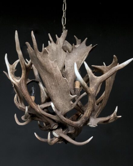 antler-lamp-fallow-deer-1838709-en-max