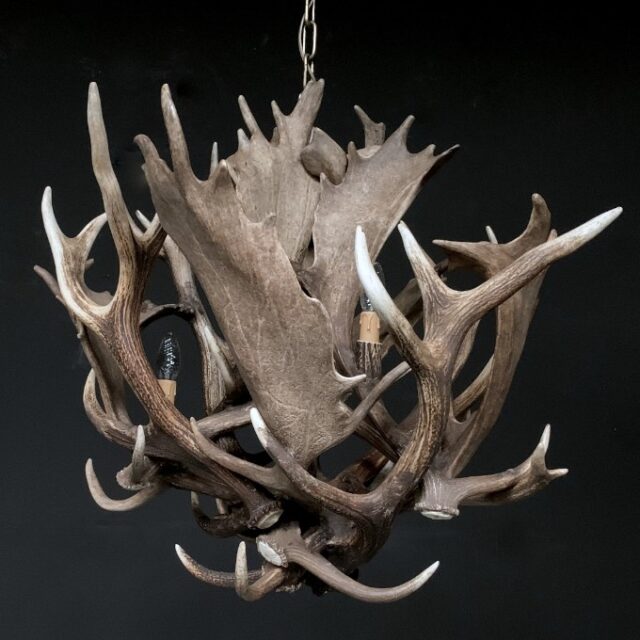 antler-lamp-fallow-deer-1838709-en-max