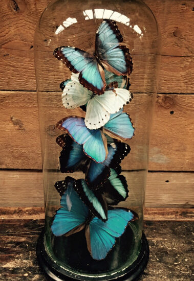 beautiful-antique-bell-with-a-mix-of-10-different-morpho-butterflies-567734-en-max