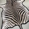 Schöne weiche gegerbte Fell eines Zebra
