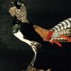 Beautiful ornate diamond stuffed pheasant