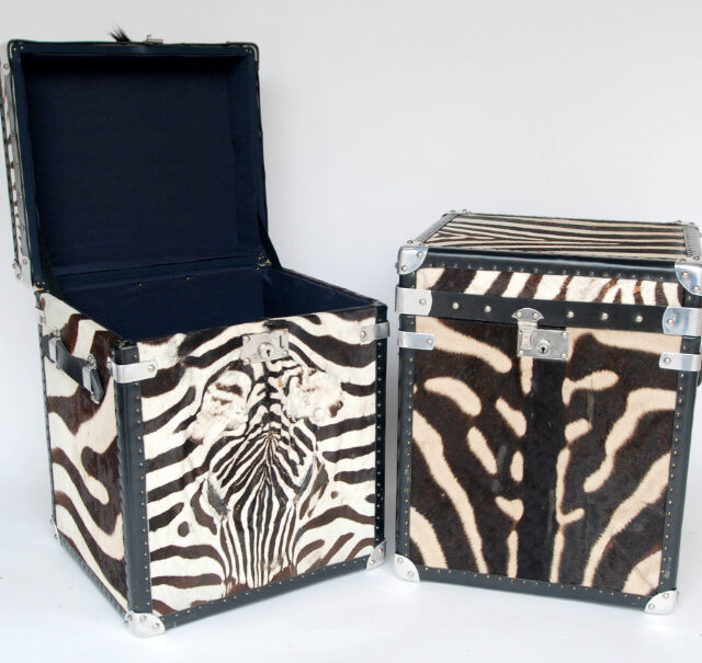 boxes-made-from-zebra-skin-374957-en-max