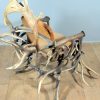 Chair made from deer antlers
