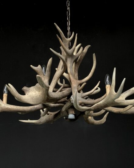 chandelier-made-of-heavy-red-deer-antlers-1912964-en-max-1