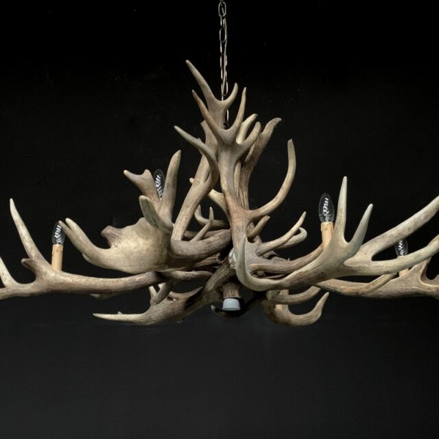 chandelier-made-of-heavy-red-deer-antlers-1912964-en-max-1