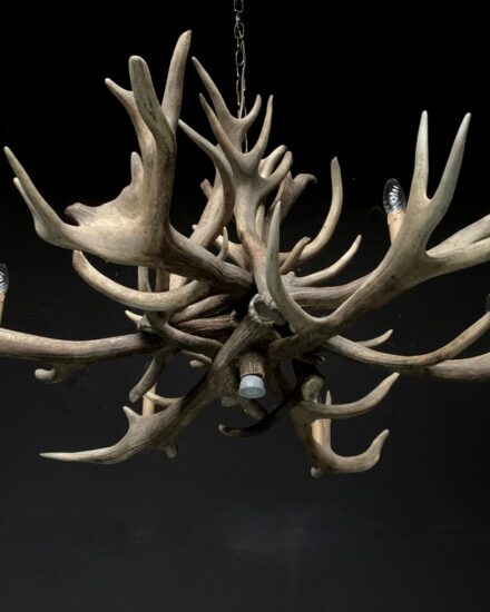 chandelier-made-of-heavy-red-deer-antlers-1912968-en-max