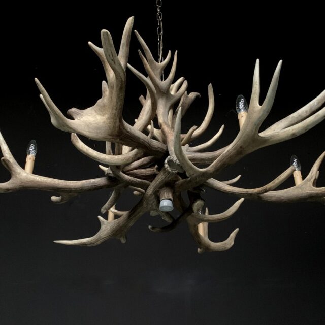 chandelier-made-of-heavy-red-deer-antlers-1912968-en-max