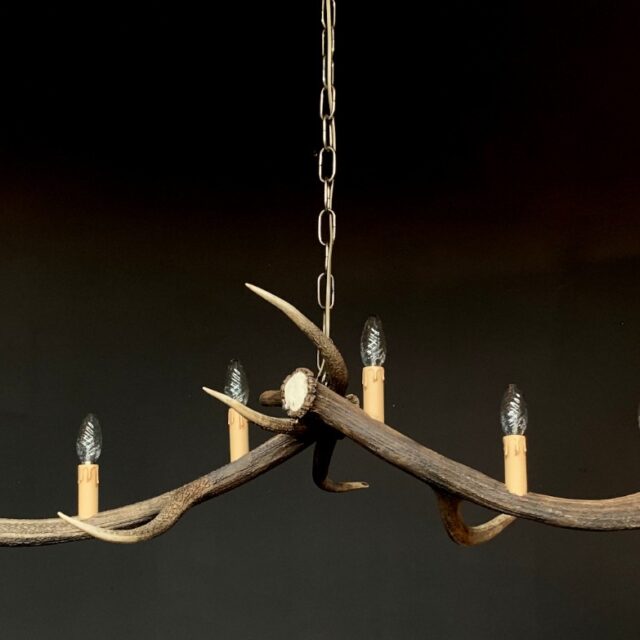 chandelier-made-of-red-deer-antlers-1912978-en-max