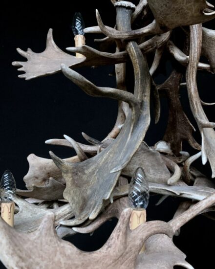 chandelier-of-fallow-deer-antlers-1838726-en-max