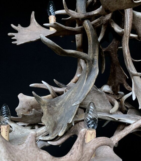 chandelier-of-fallow-deer-antlers-1838726-en-max