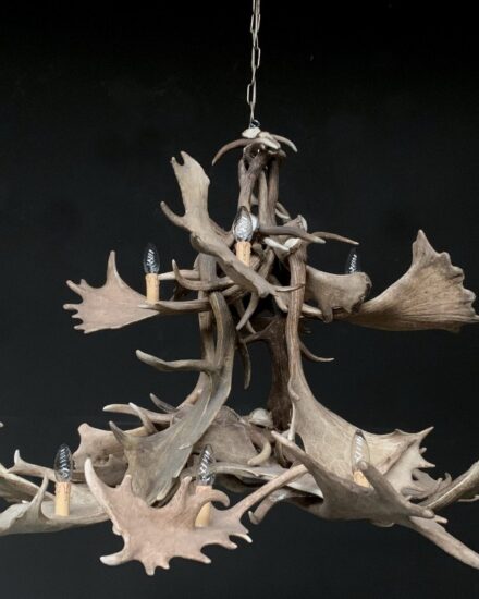 chandelier-of-fallow-deer-antlers-1838727-en-max