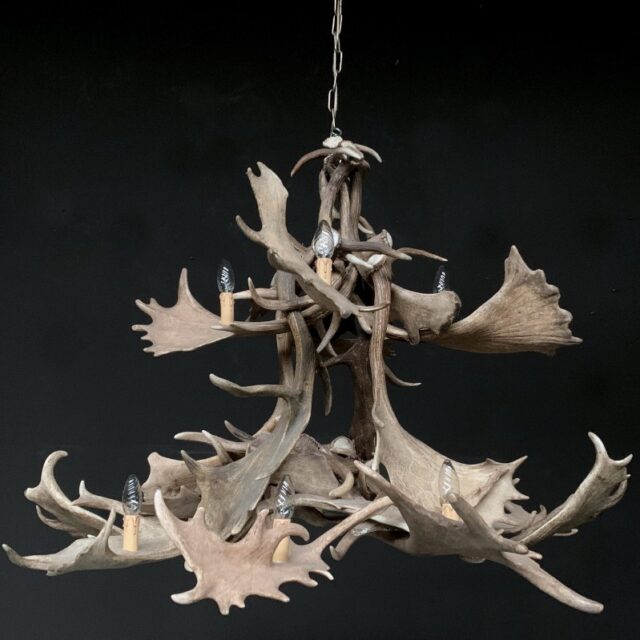 chandelier-of-fallow-deer-antlers-1838727-en-max