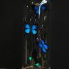 Decorative antique dome with butterflies