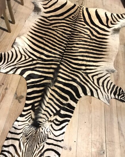 excellent-quality-zebra-skin-819799-en-max