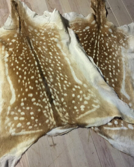 fallow-deer-hides-377828-en-max