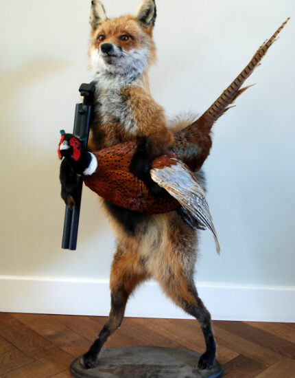 fm-230-unique-stuffed-fox-with-pheasant-1572414-en-max