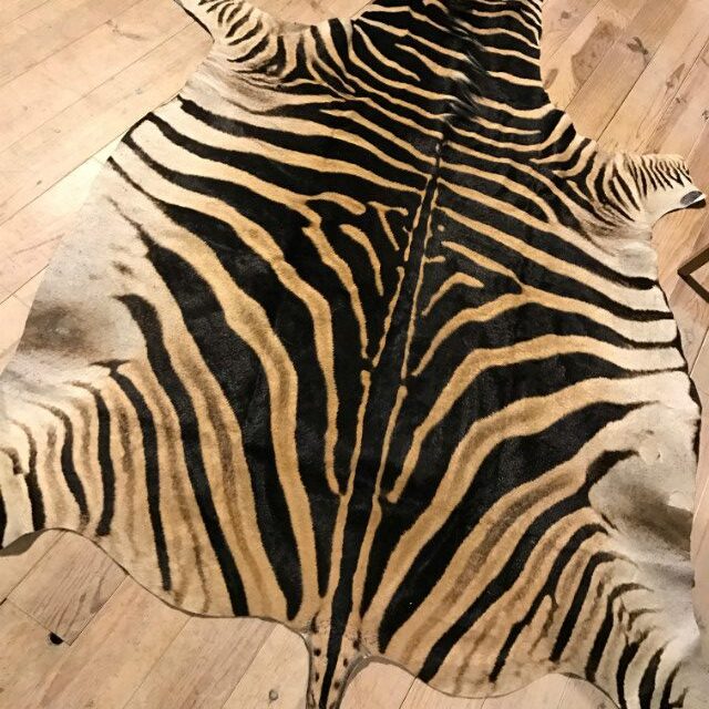 freshly-tanned-zebra-skins-629981-en-max-rotated